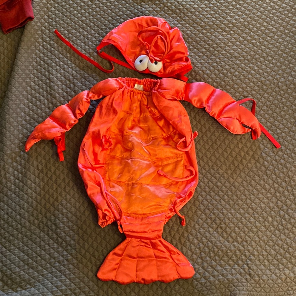 Lobster Halloween costume. One size up to 25 lbs. worn once.